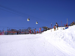 e0058118_848381.jpg