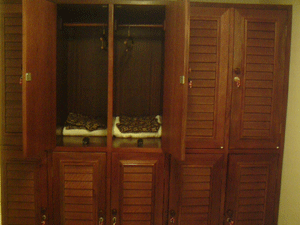 d0038319_9482358.gif
