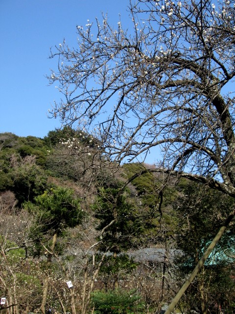 【長谷の光則寺】_b0009849_181607.jpg