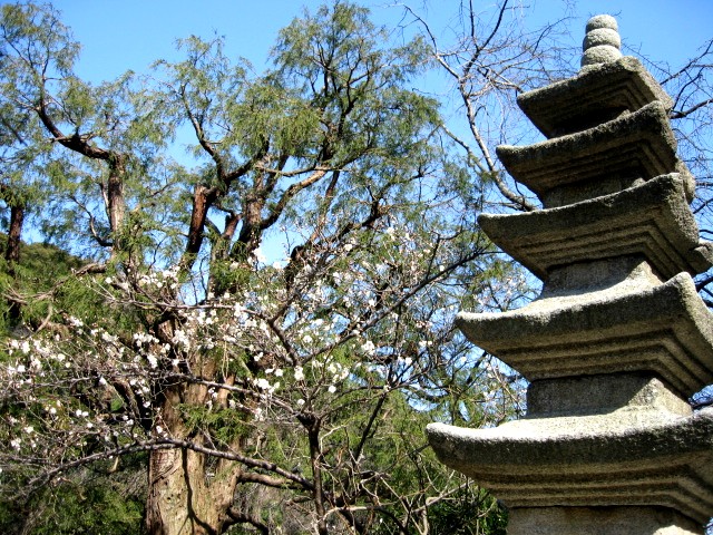【長谷の光則寺】_b0009849_18212587.jpg
