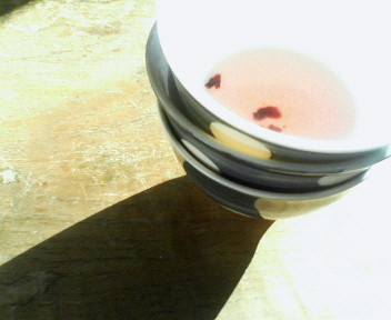 e0108855_0537.jpg