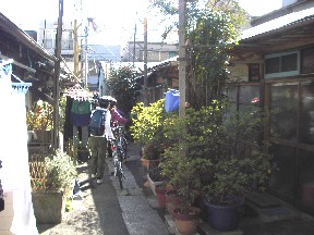 c0047856_8214562.jpg