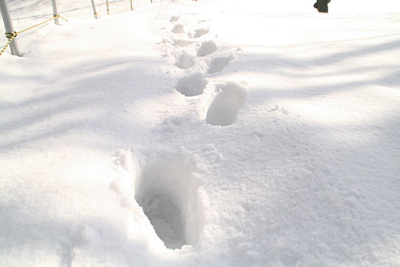 c0112479_21565223.jpg