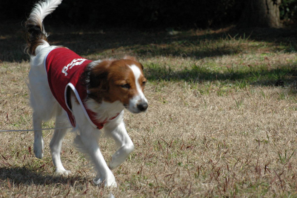 c0075585_010428.jpg