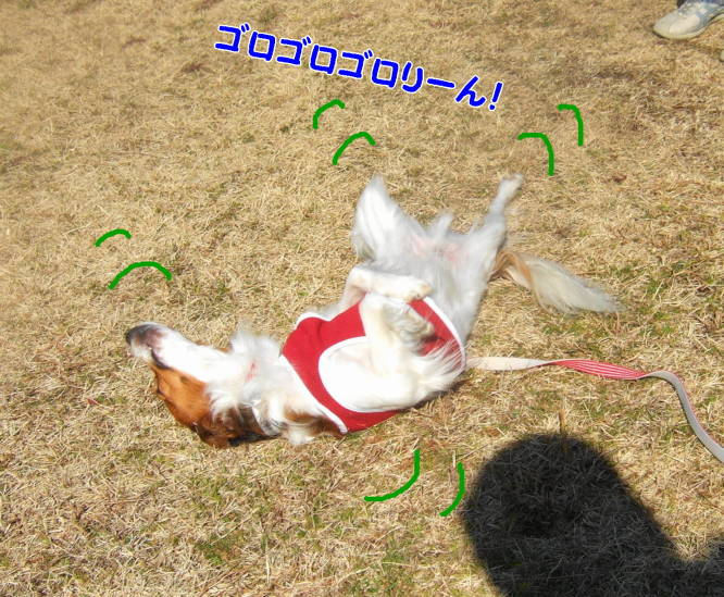 c0075585_0124950.jpg