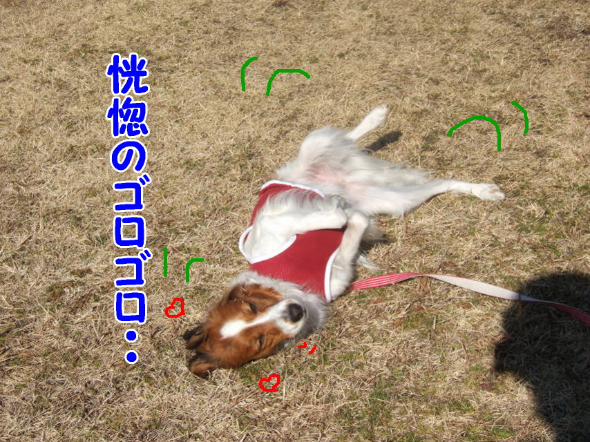 c0075585_01388.jpg