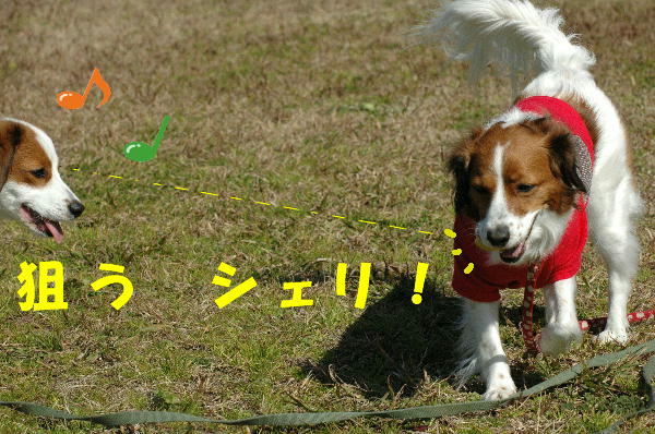 c0075585_023159.jpg