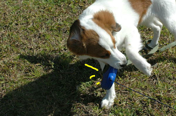 c0075585_027561.jpg