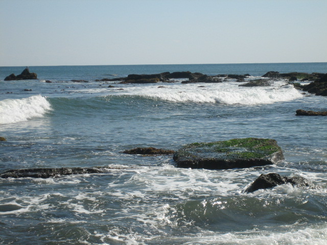 b0054391_893088.jpg