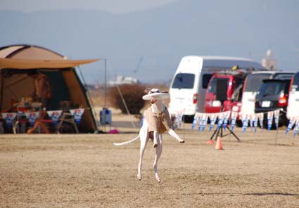 鬼は外、福も外_f0094391_2352277.jpg