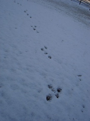 c0013693_12513467.jpg