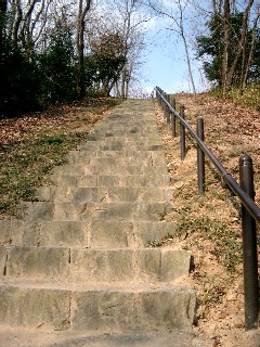 a0040103_21111483.jpg