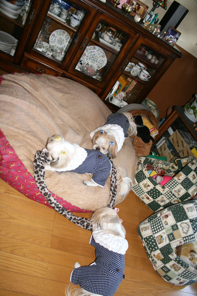 c0011204_18214944.jpg