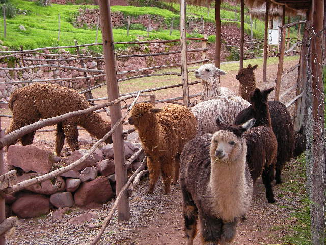 f0038407_1323453.jpg
