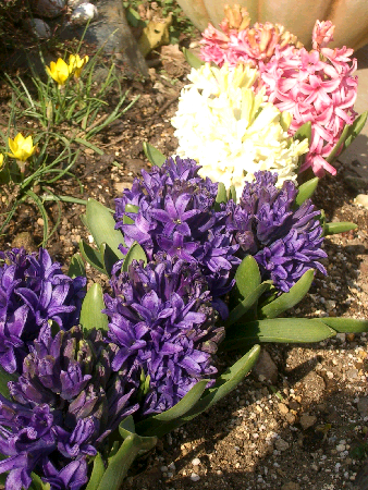 c0086221_22152272.jpg