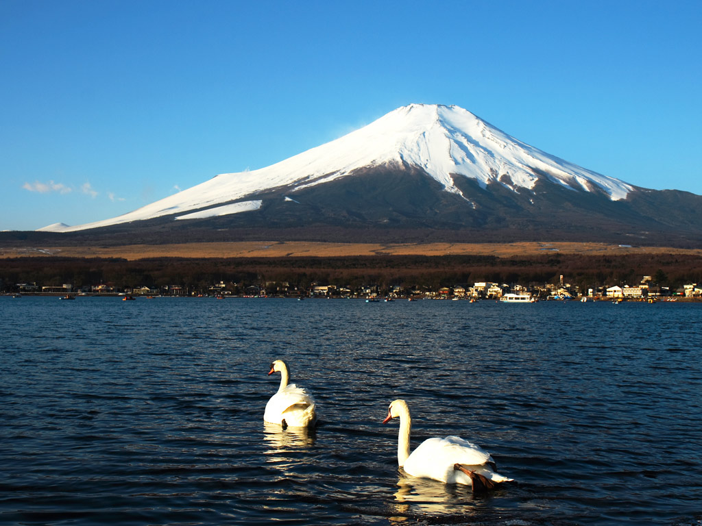 快晴の富士山_f0035323_6524212.jpg