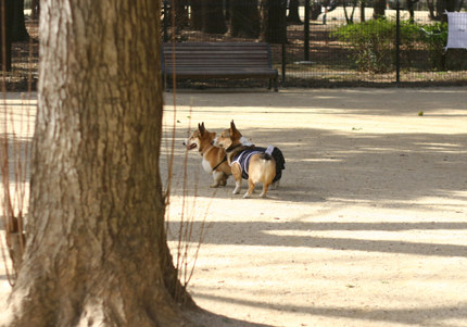 所沢航空公園で遊びましたよ♪_e0071225_1520622.jpg