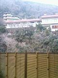 箱根より帰還_b0000829_13154353.jpg