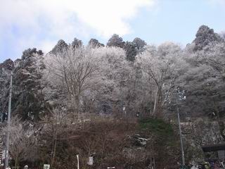 c0029332_04325.jpg