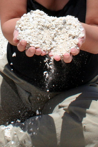 c0035836_13504761.jpg