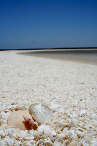 c0035836_13534843.jpg