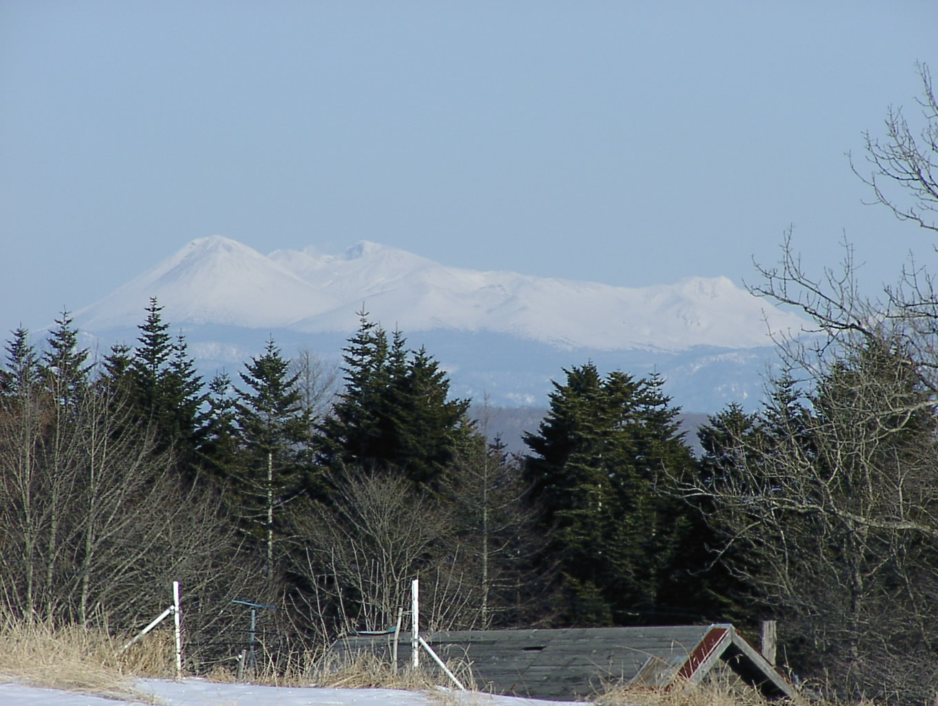 なんだこの陽気　　2月6日_f0113639_12163169.jpg