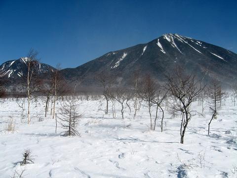 雪の戦場ヶ原_e0007544_2352396.jpg