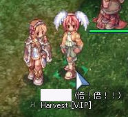 私のピンクコレクション★ その1_f0108346_1195962.jpg