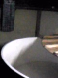 d0007957_071188.jpg