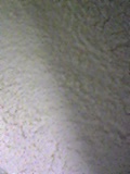 d0007957_23433159.jpg