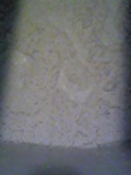 d0007957_23441560.jpg
