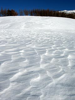 雪、雪、雪～♪_c0030967_2158168.jpg