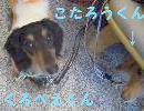 f0087779_21263669.jpg
