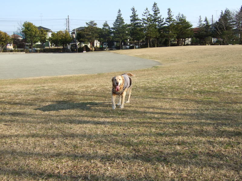 ぽっかぽかのお散歩タイム♪_c0104492_2318209.jpg