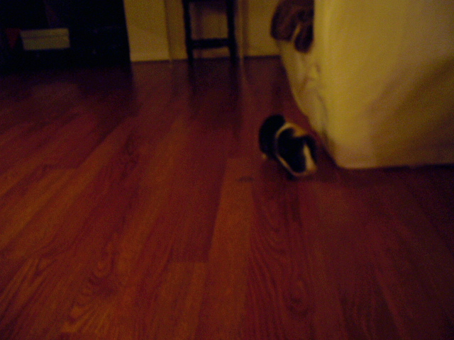 c0037103_15245116.jpg