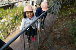 陽だまりの小窓