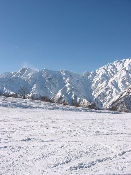 a0041508_23484880.jpg