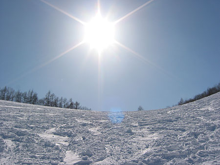 a0041508_23495532.jpg