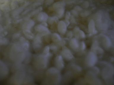 甘酒作り_d0099708_214044.jpg