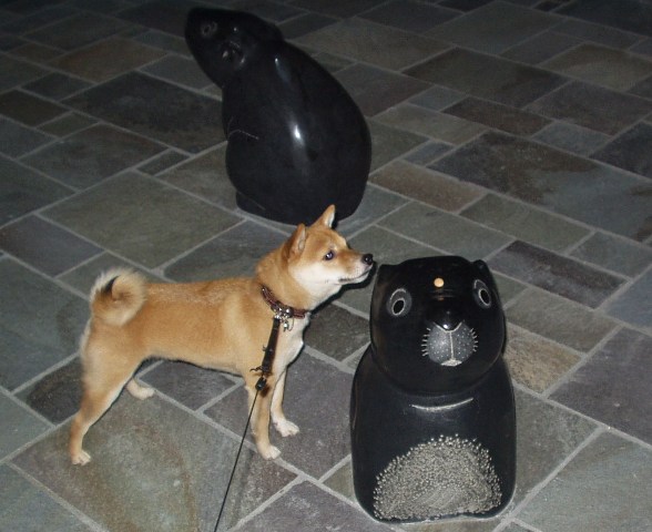 f0004309_17595434.jpg