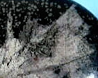 d0045626_20475145.jpg
