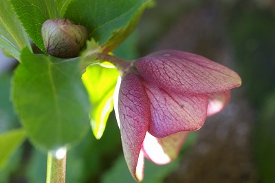 c0093830_18274517.jpg