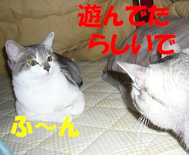 やった~_f0002743_1433196.jpg