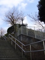 またまた、柳沢失言_e0080345_9422885.jpg