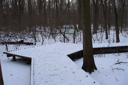 b0087456_39940.jpg