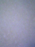 d0007957_23292140.jpg