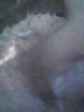 d0007957_23374476.jpg