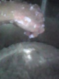 d0007957_2338843.jpg