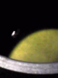 d0007957_23403263.jpg