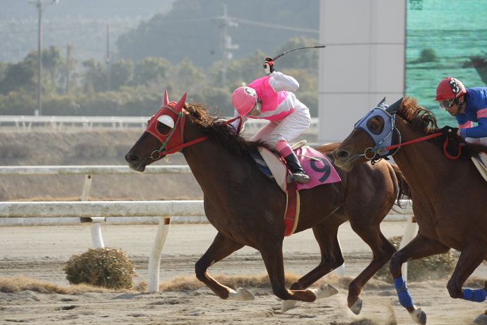 2007年2月4日（日） 高知競馬 7R 真一＆貴子ご結婚特別_a0077663_183231.jpg